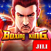 peryagame Boxing King